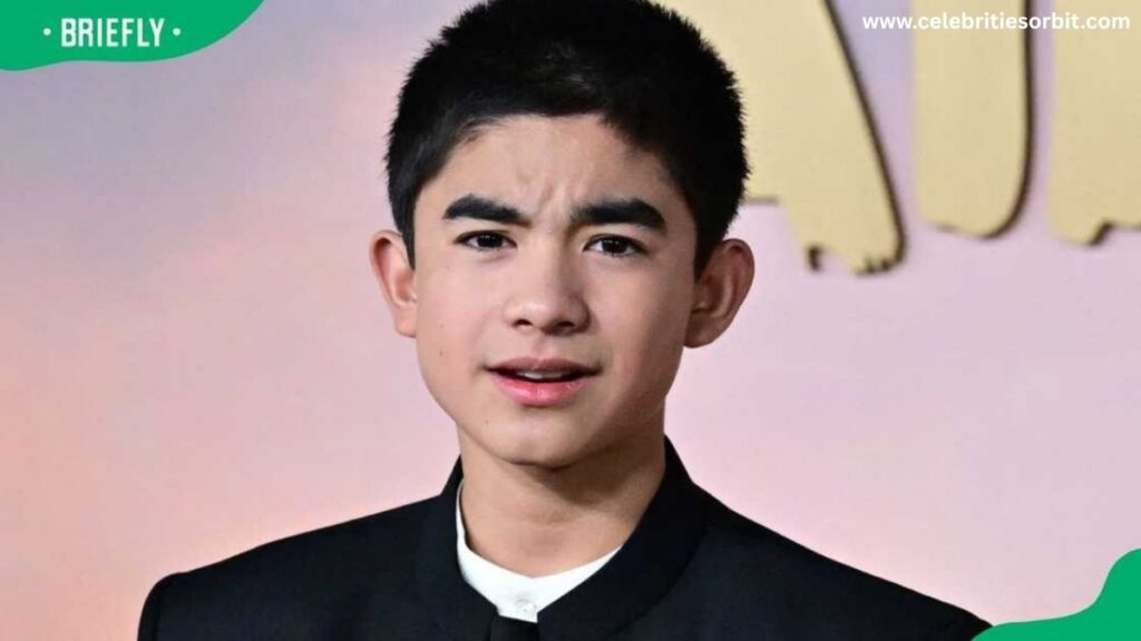 Gordon Cormier Career: From Local Talent to Global Star